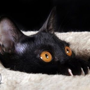 Meet your Posher, Jocelyn